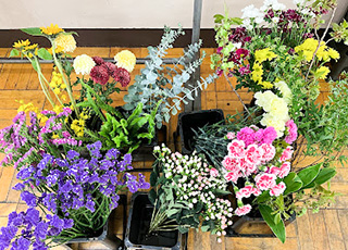 体験入部では新入生の皆さんに楽しんでいただけるようにカラフルなお花を準備しました