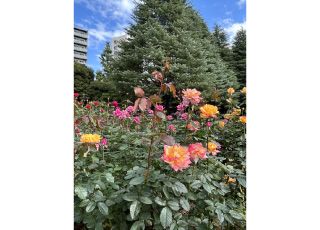 大東文化大学に総合型選抜で合格したKさん