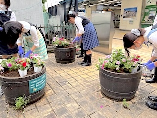 中高生徒会役員で上中里駅前花壇の花の植え替えを行いました